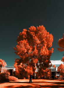 Autumn Mood